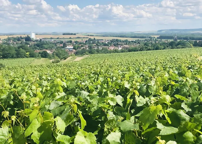 Le Du Pigeonnier Casa vacanze Villenauxe